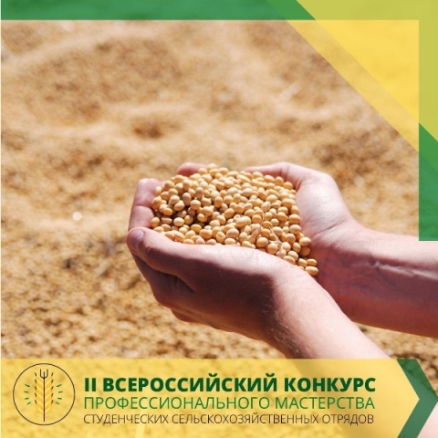 � ������������� ��� �������  II ������������� ������� ����������������� ���������� ����� ������������ �������������������� �������