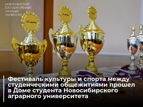 Фестиваль культуры и спорта между студенческими общежитиями прошел в Доме студента Новосибирского ГАУ