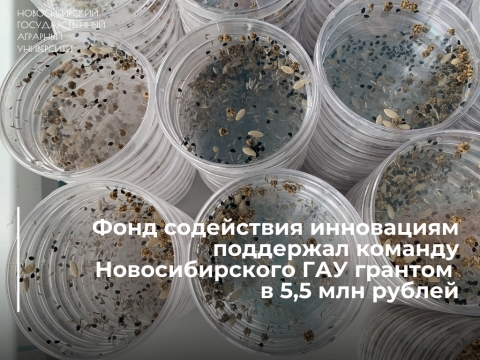 ���� ���������� ���������� ��������� ������� �������������� ���