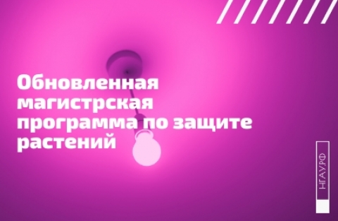 ����������� ������������ ��������� �� ������ ��������