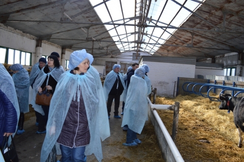 Повышение квалификации для зоотехников с/х организаций