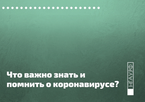 ���� ������������ ������ COVID-19