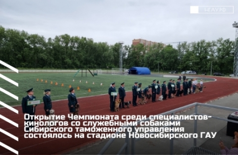 Открытие Чемпионата среди специалистов-кинологов со служебными собаками Сибирского таможенного управления состоялось на стадионе Новосибирского ГАУ
