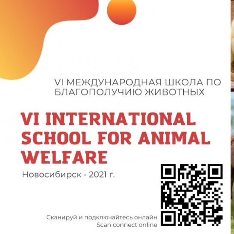 ������������� ����� �� ������������ �������� ��� ������� ������ � ��������� �����