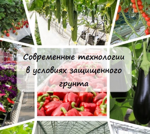 Вышел сборник конференции «Современные биотехнологии в условиях защищенного грунта»