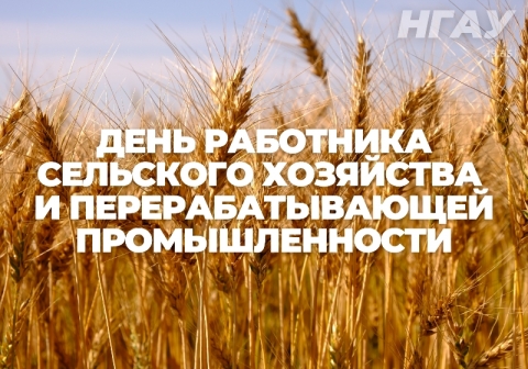 ���� ��������� ��������� ��������� � ���������������� ��������������