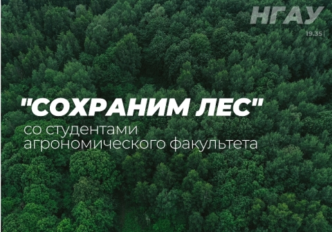 Студенты агрономического факультета - участники Всероссийской акции «Сохраним лес»