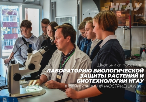 Школьники посетили Лабораторию Биологической защиты растений и биотехнологии на базе Новосибирского ГАУ