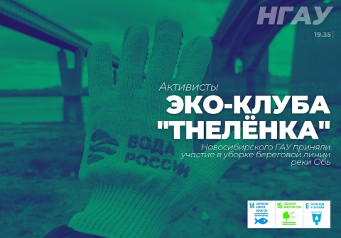 ��������� ���-����� �The˸��� �������������� ��� ������� ������� � ������ ��������� ����� ���� ���