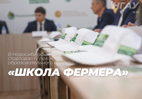 � ������������� ��� ��������� IV ����� ���������������� ������� ������ �������