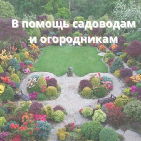 � ������ ��������� � �����������