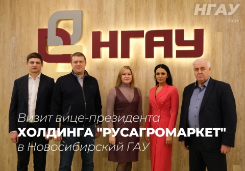 ����� ����-���������� �������� �������������� � ������������� ���