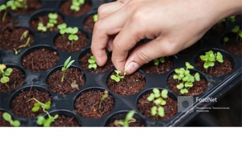 ������������� ������� ������� ������ �������������� ��� ������������ ��������� ������� ������ ����� ��� FoodNet