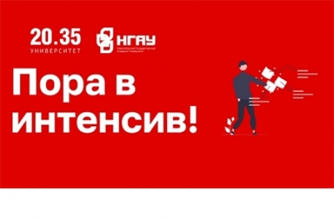 Практика в интенсиве «От идеи к прототипу» с Университетом 20.35 и Новосибирским ГАУ