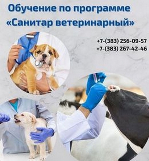 ������� ������������