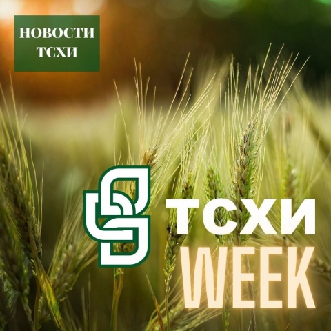 � ������ �������� �����-WEEK�