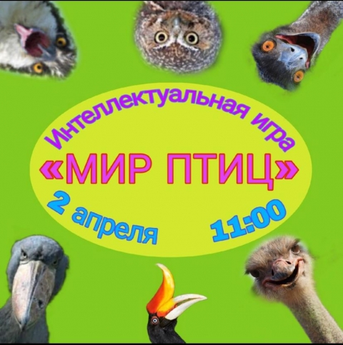 1 апреля отмечается Международный день птиц.