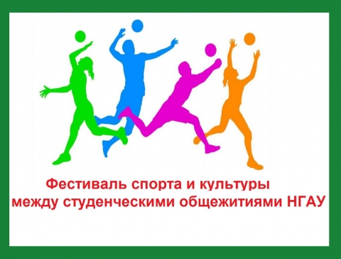 Фестиваль спорта и культуры между студенческими общежитиями НГАУ