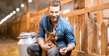 ������� ����� �������� ���� ��������: ������ �������������� ��Ӗ � ������� ������� �� � ����