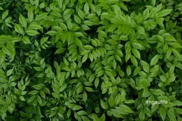 ������������ ������� ������� ������ � ������ ���������� ���