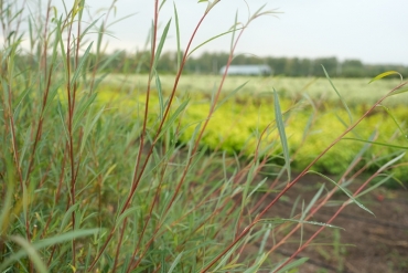 � ������� ������� ��������� �������������� ��� ��������  �������� ���������� �������