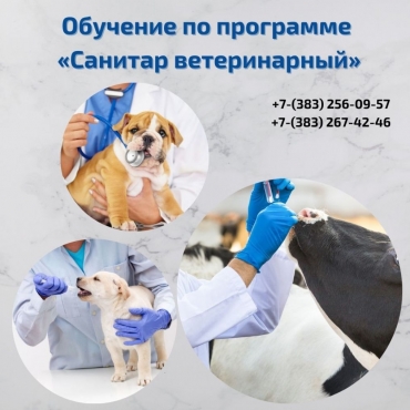 ������� ������������