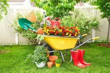 � ������ ��������� � �����������