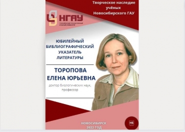 Библиографический указатель литературы. Торопова Елена Юрьевна