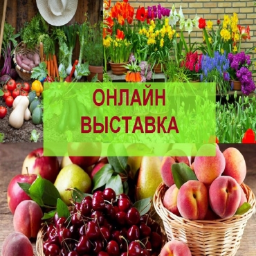 ������-��������