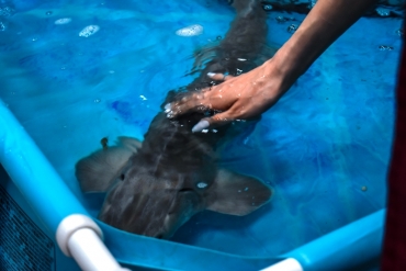 ������������� ��� ��������� � ��������� ��������������� ������������� ������ ������� �������������� ����������� � ����������� ������������