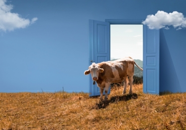 �������� ��� �������������� ��� ��������� �������������� ���