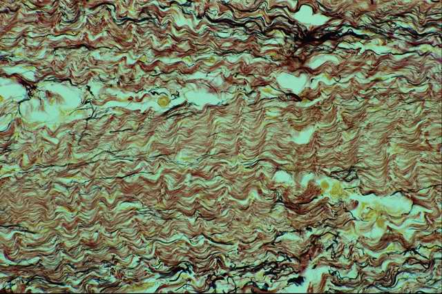 ��������� ��������� ������������ �������� ������ ������