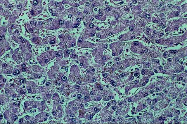 ��������� ��������� � ����������� �����������.