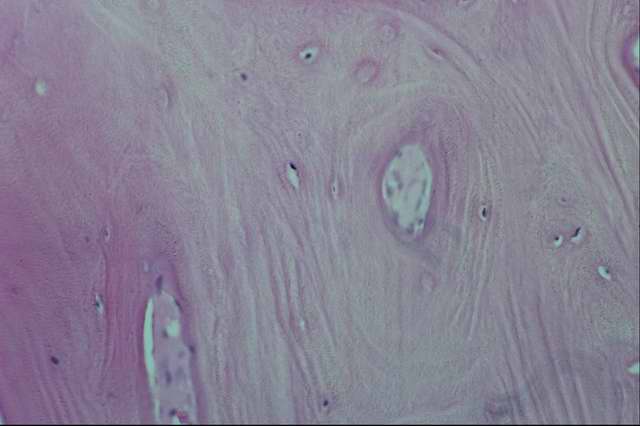 ���������� - ��������� ������.