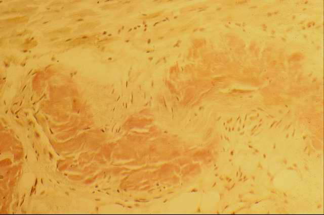 ��������� ��������.