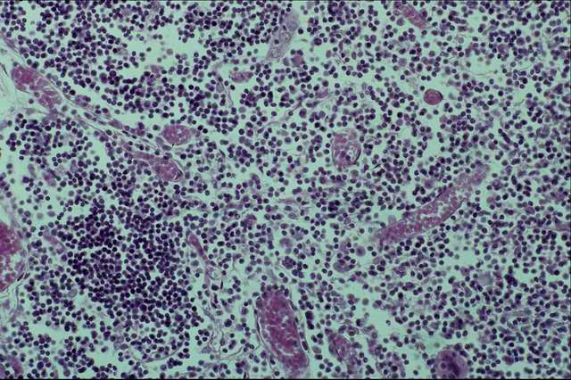 ��������� � ������������ ��������� �����.