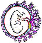 ����������� ��������