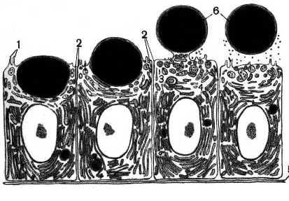 n02-4.jpg (23875 bytes)