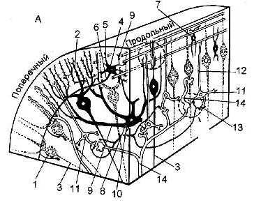 n18-1.jpg (25298 bytes)
