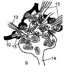 n18-2.jpg (11410 bytes)