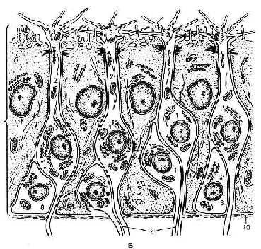 n20-2.jpg (42225 bytes)