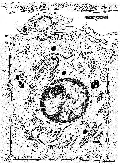 n34.jpg (80252 bytes)