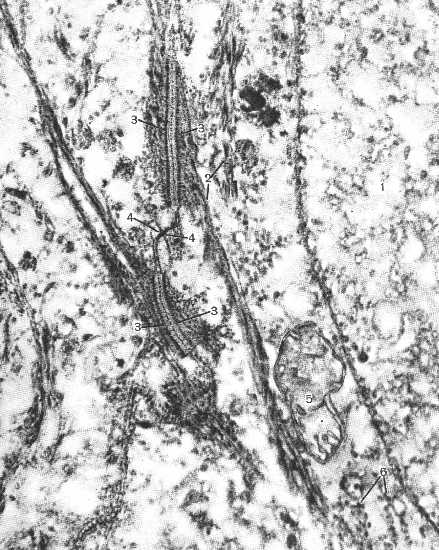 n40.jpg (55690 bytes)