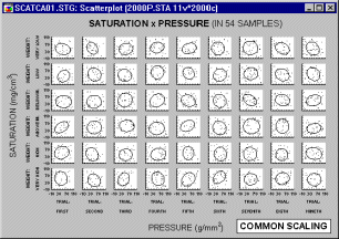 ����� ������� ���������������� ��������